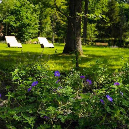 Nowoczesny Apartament W Puszczy Bialowieskiej Hajnówka Kültér fotó