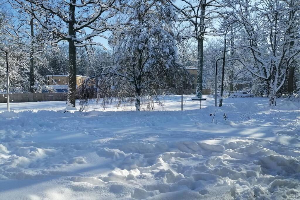Nowoczesny Apartament W Puszczy Bialowieskiej Hajnówka Kültér fotó